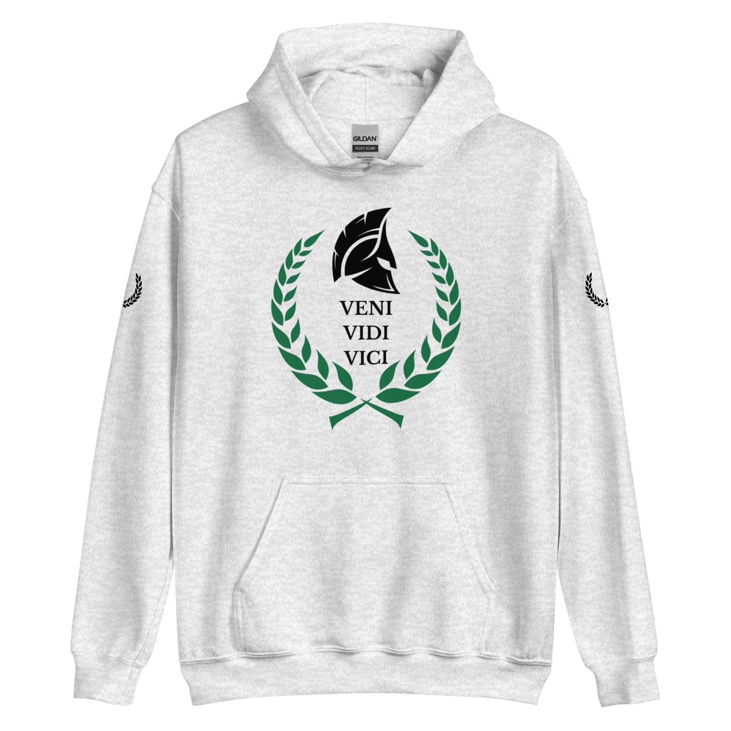 Roman Hoodie: Veni, vidi, vici - I came, I saw, I conquered